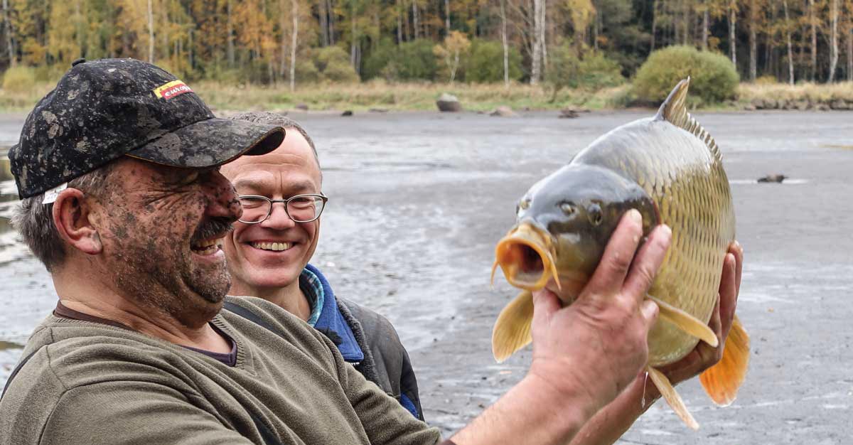 Marc Mössmer und Biofisch Mitarbeiter mit frisch gefangenem Karpfen